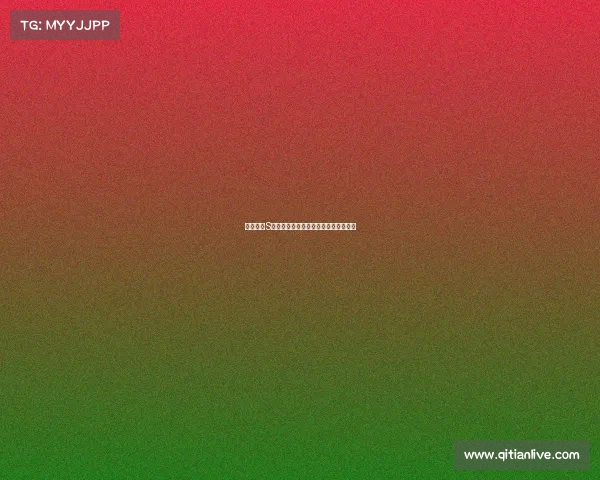 英雄联盟S赛粉丝应援活动全记录与精彩瞬间回顾